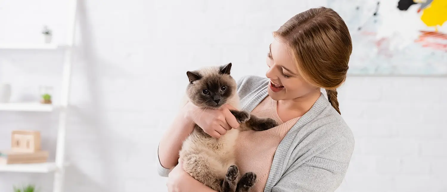 Accessoires et Jouets pour Chats - Crocs Cœurs d'Amour