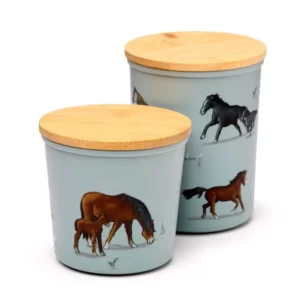 Lot de pot de rangement couvercle ouvert