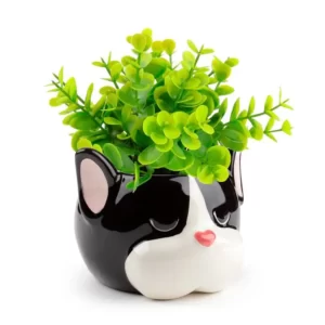 Pot en Céramique pour Plante d'Intérieur