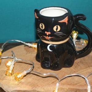Mug Chat Noir