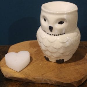 Magnifique brûleur Hibou Mistic