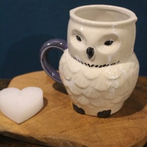 Mug Hibou Mistic