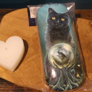Etui à lunettes Chat Noir et Lune