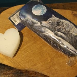 Etui à lunettes Loup et Lune