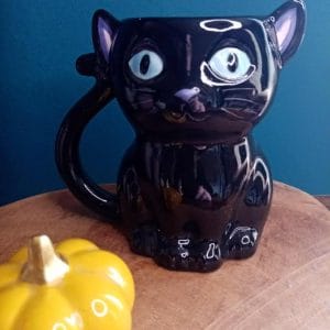 Mug Chat Noir