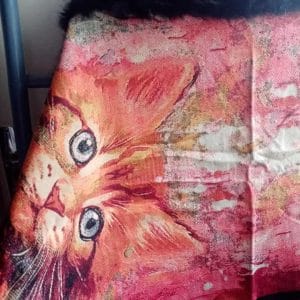 Poncho Chat Roux